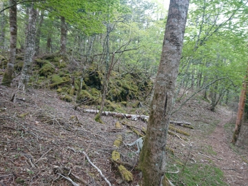 富士山専門店　東海道表富士　西川卯一　村山古道　ルート3776　ゼロ富士　村山　登山ガイド　自然林道