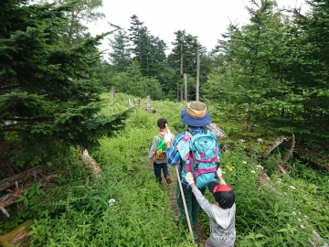 富士山専門　東海道表富士　西川卯一　富士山下山ツアー　村山　古道