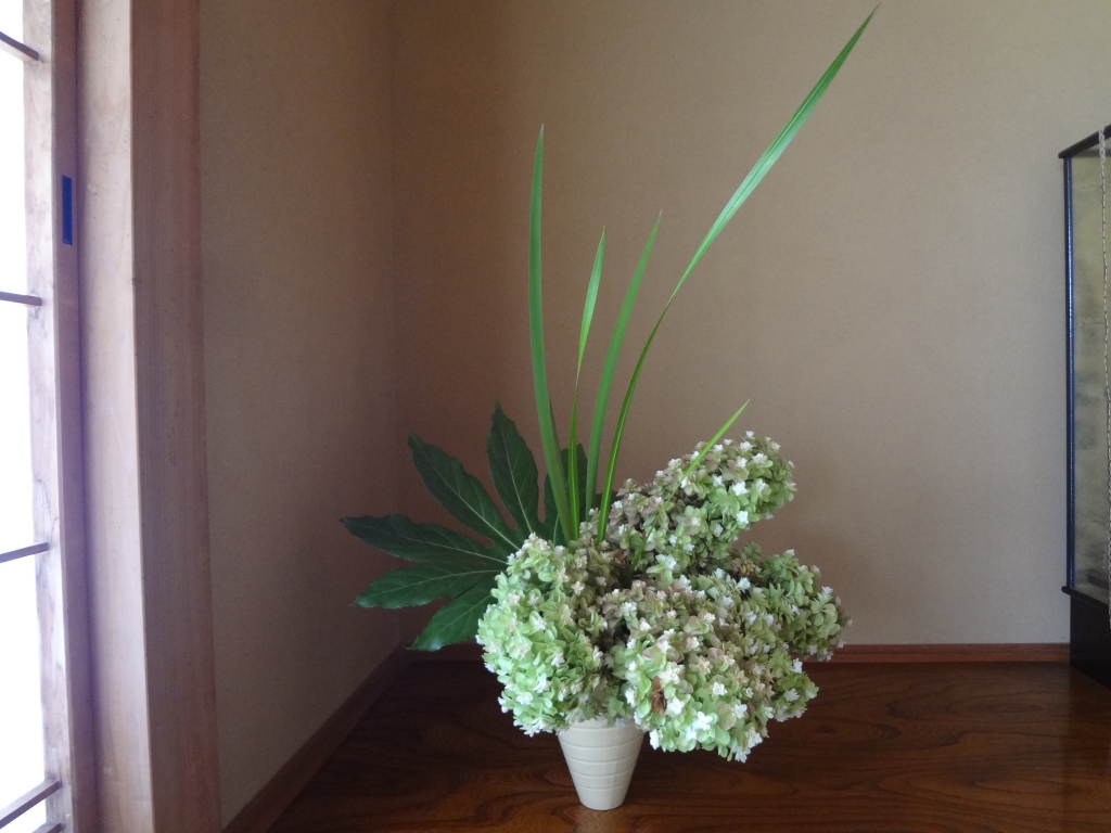 柏葉あじさい 自由花 生け花日記