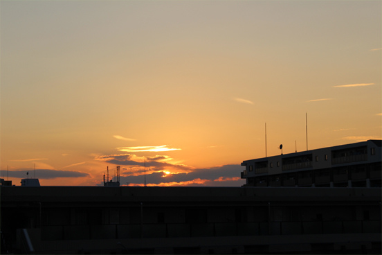 IMG_1960.jpg