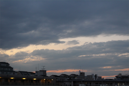 IMG_2211.jpg