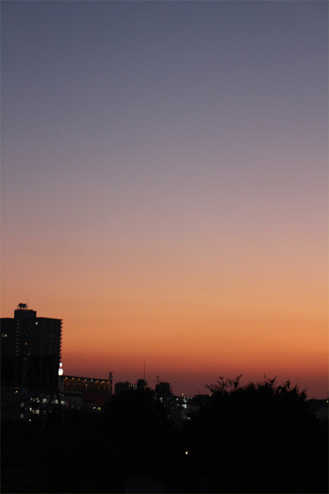 IMG_2222.jpg
