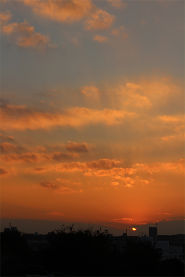 IMG_2274.jpg