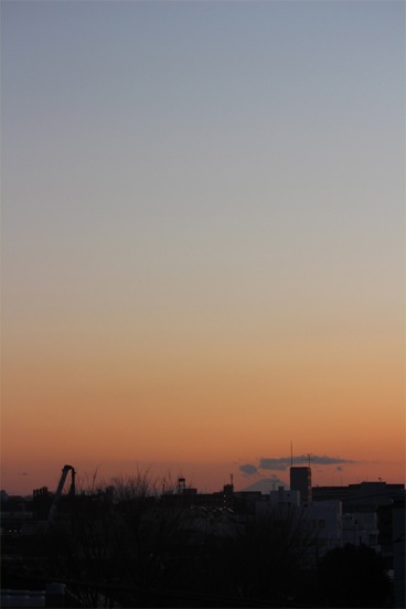 IMG_3037.jpg