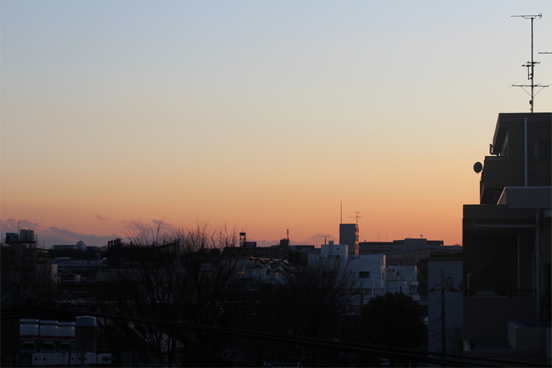 IMG_3110.jpg