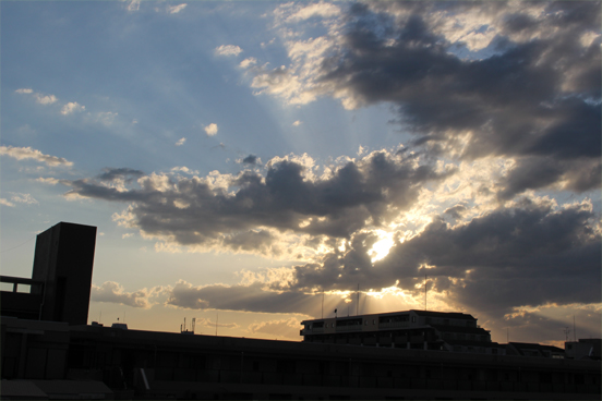 IMG_3285.jpg