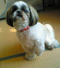 201004191650000.jpg