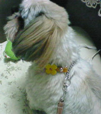 201005091920000.jpg