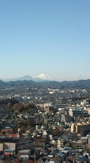 20101215094628.jpg
