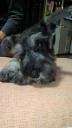 201110141623000.jpg