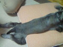 201110141626000.jpg