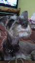 201111171721001.jpg