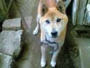 201111161603000.jpg