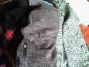 201112221510000.jpg