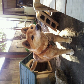 20120504_212815.jpg