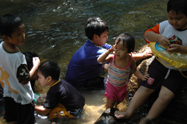 ulu paip