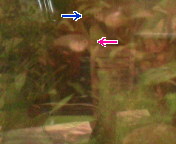 20070928002222.jpg