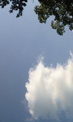 P2009_0628_155036.JPG