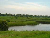 淡水池