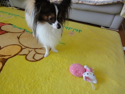 DSC00193.JPG