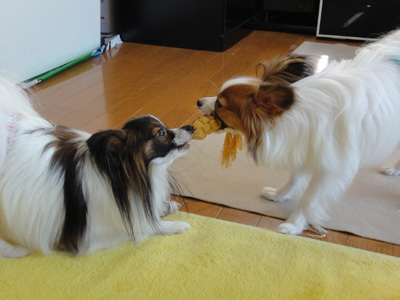 DSC00558.jpg