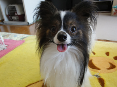DSC00563.jpg