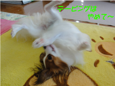 DSC00569.jpg