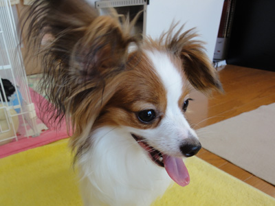 DSC00570.jpg
