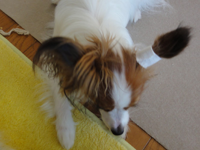 DSC00571.jpg