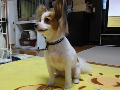 DSC00586.JPG