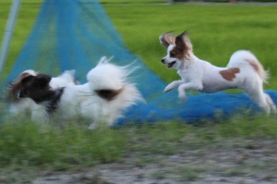 IMG_3555.JPG