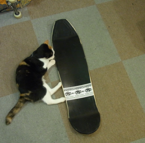 045model