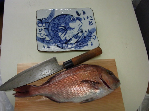 鯛