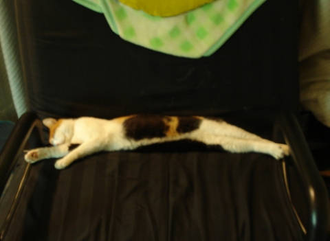 ennui