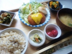 mumokuteki¥é¥ó¥Á