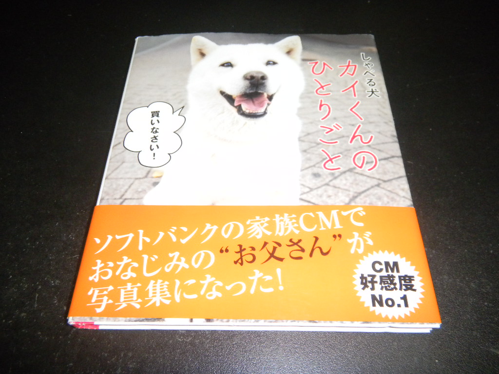 しゃべる犬 カイくんのひとりごと トイドッグ愛玩犬と暮らし