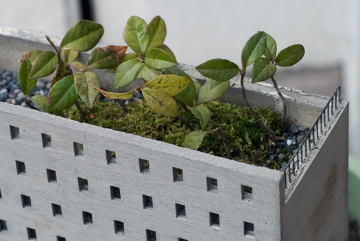 mado planter