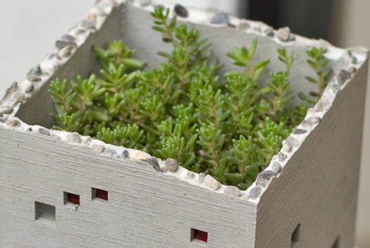 building planter