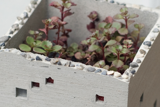 building planter