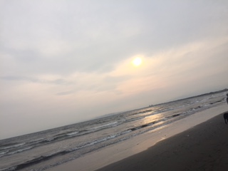 image1.JPG