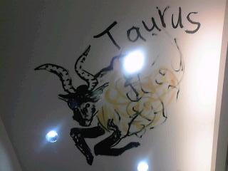 Taurus
