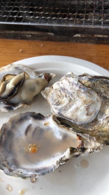 image1.jpeg
