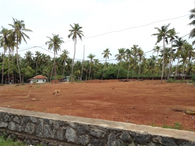 yard