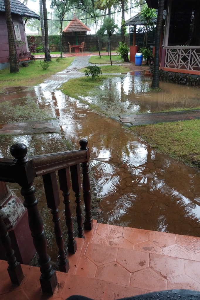 Rain