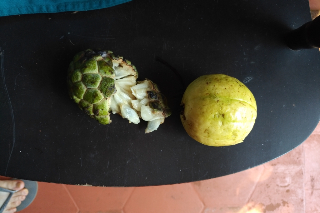 Guava