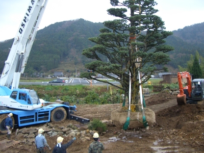 レッカー吊り上げ成功