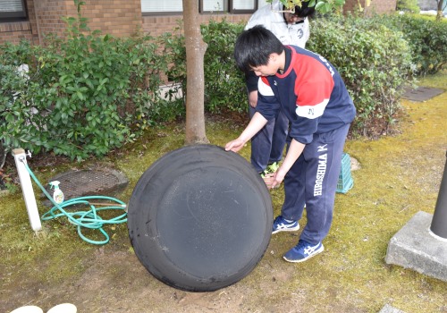 DSC_8157.jpg