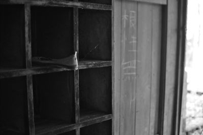 DSC_9039.jpg