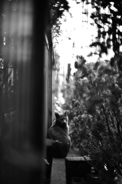 _DSC9095.jpg