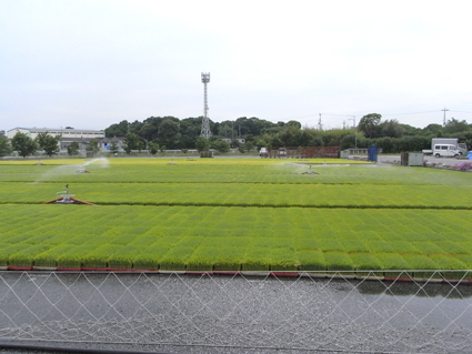 準備中1